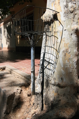 Mendoza arbre bouffe-tout